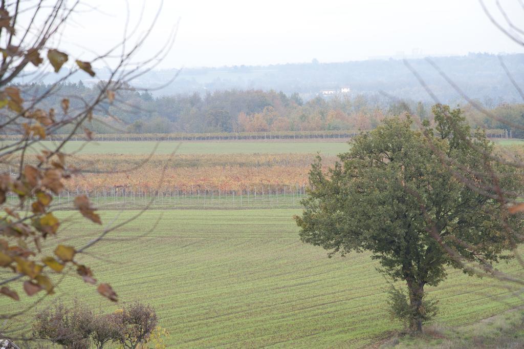 Agriturismo Il Vecchio Portico Francavilla Bisio Zewnętrze zdjęcie